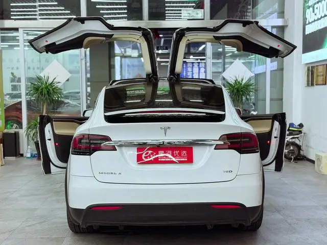 Tesla Model X 75D