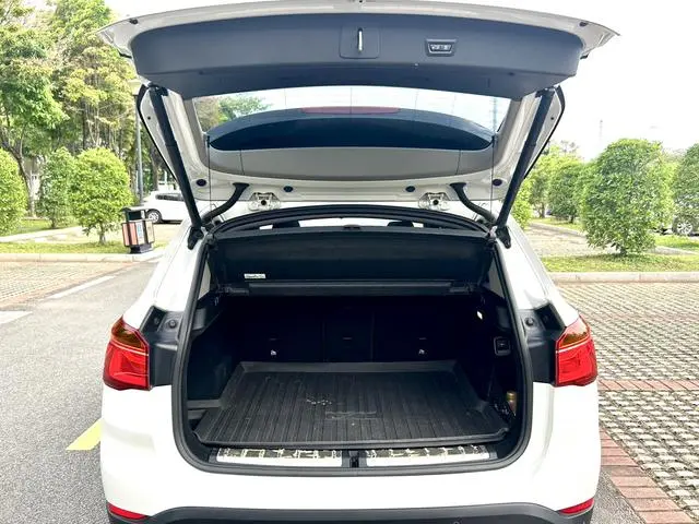 BMW BMW X1 xDrive20Li Luxury