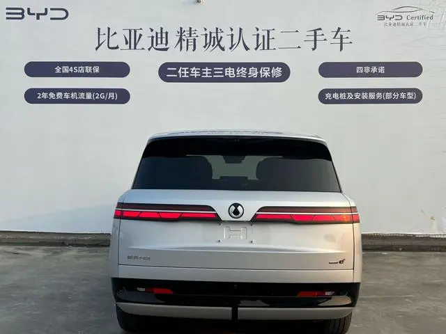 Denza Denza N9 DM Flagship type