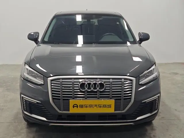 Audi Audi Q2L e-tron Pure electric smart enjoyment type