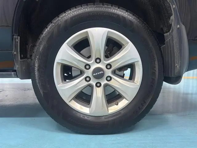 Haval Haval H9 2.0T gasoline four-wheel drive exclusive 5-seater