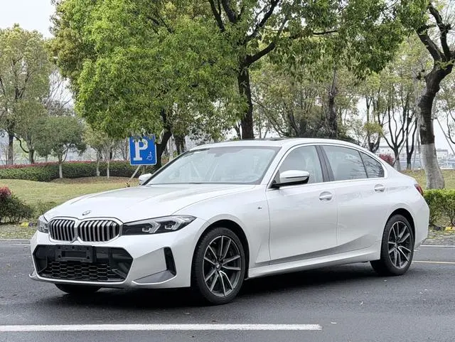 BMW BMW 3 Series 320Li M sports suit