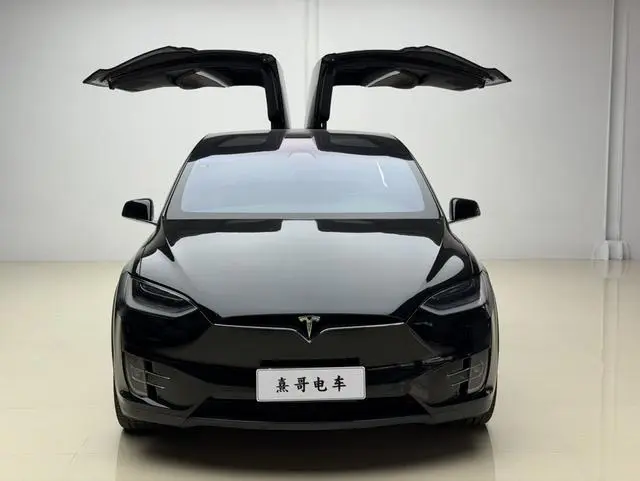 Tesla Model X 100D long battery life version