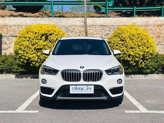 BMW BMW X1 sDrive20Li leading type