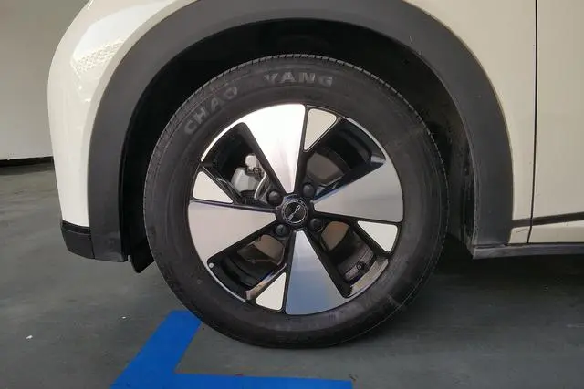 BYD dolphin Fashion edition