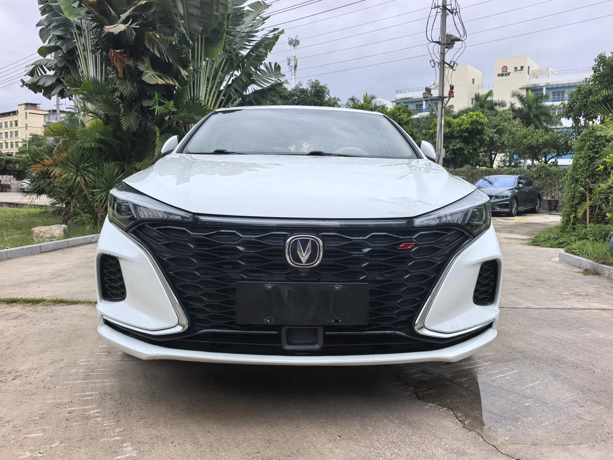 Changan Yidong PLUS Blue Whale NE 1.4T GDI DCT Flagship