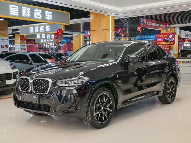 BMW BMW X4 xDrive 25i M sports suit