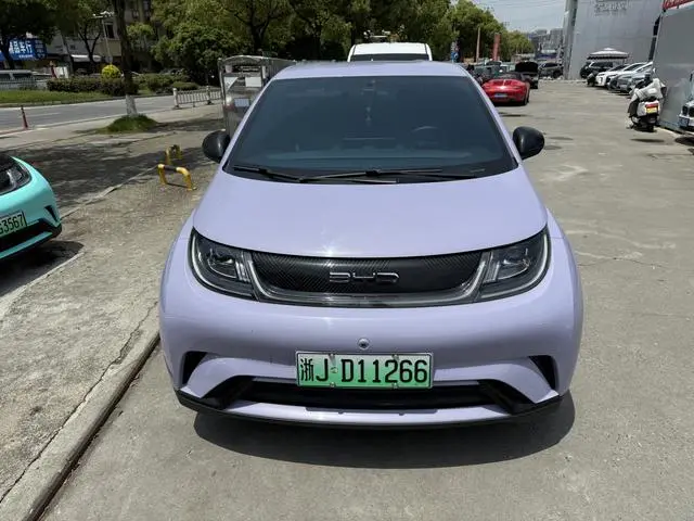 BYD dolphin Fashion edition