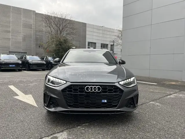 Audi Audi A4L 40 TFSI luxury Dynamic Type