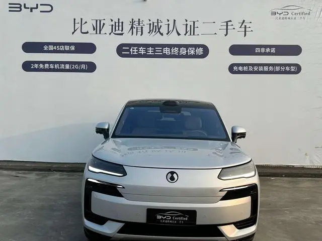 Denza Denza N9 DM Flagship type