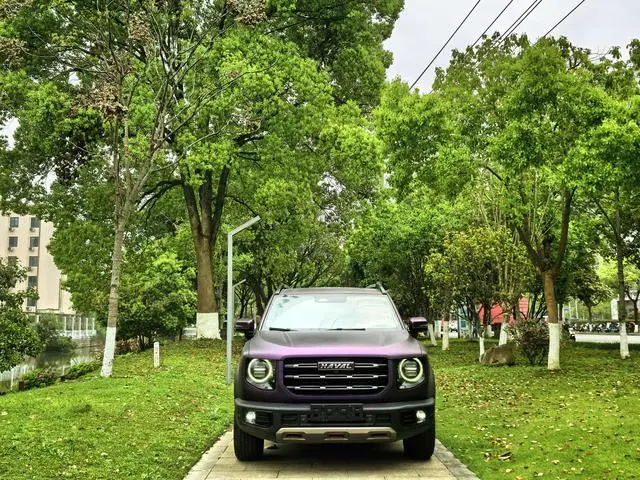 Haval Haval Big Dog 2.0T two-wheel drive Chinese Hound Version