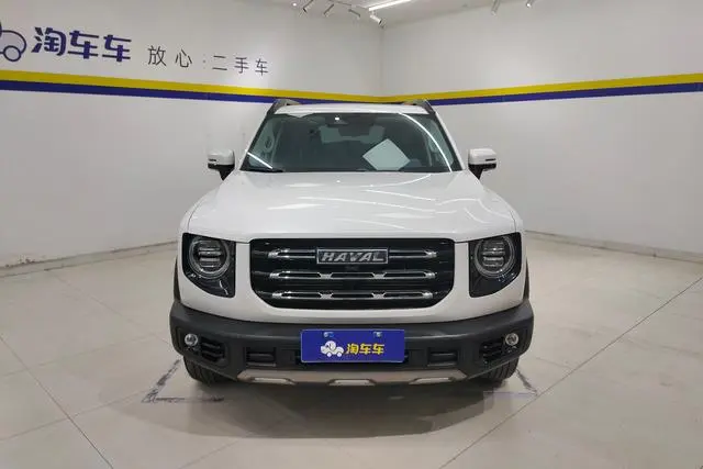 Haval Haval Big Dog 1.5T two-wheel drive Bianmu-Wangcai Edition