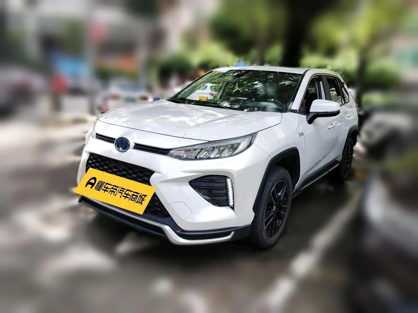 TOYOTA Weilanda PHEV 2.5L two-wheel drive Jin Engine version