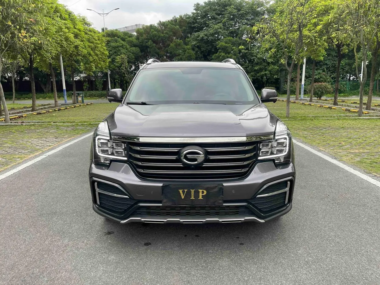 GAC Trumpchi GS8 390T two-wheel drive luxury Zhilian Edition 7 seats
