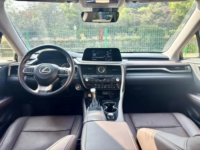 Lexus Lexus RX Facelift 300 two-wheel drive comfort version