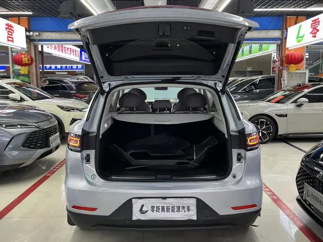 Leapmotor Zero run C11 Executive Edition 510
