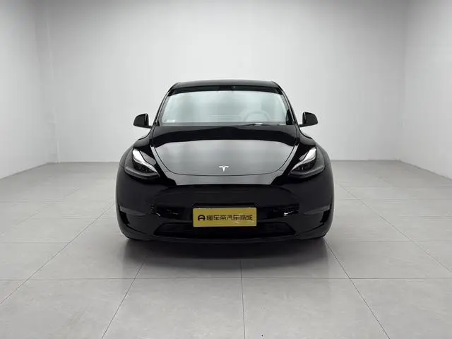 Tesla Model Y Performance high-performance all-wheel drive version