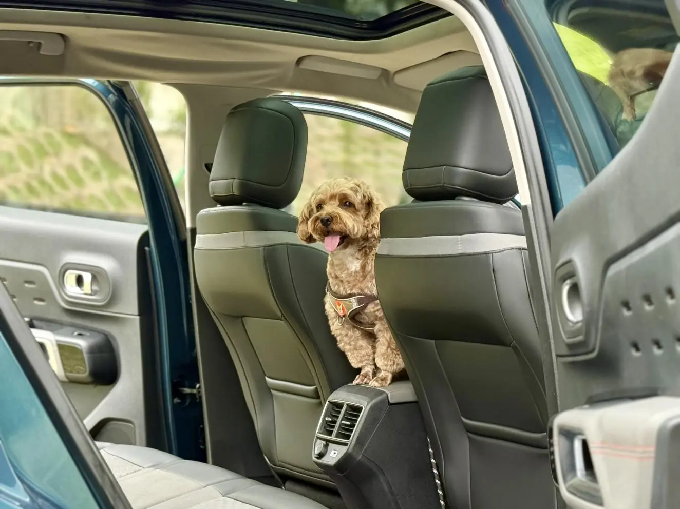 Citroen Tianyi C5 AIRCROSS 350THP fashion type