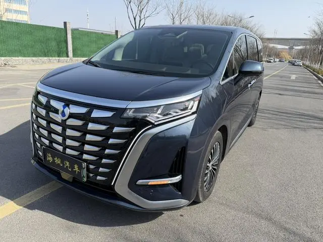 Denza Denza D9 DM 980 four-wheel drive flagship