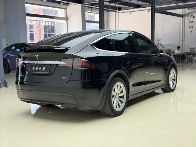 Tesla Model X 100D long battery life version