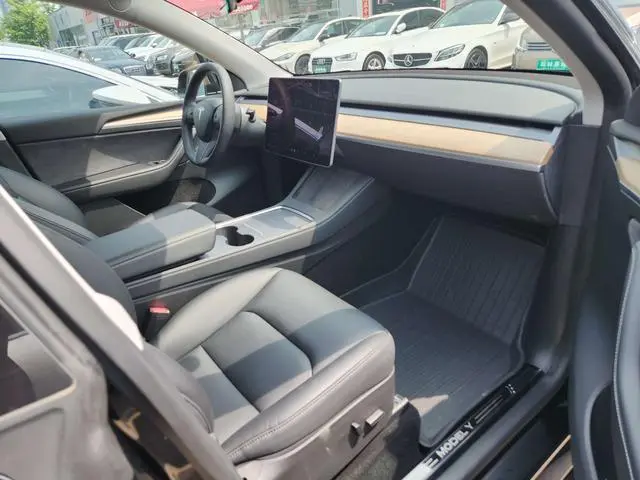 Tesla Model Y Rear-wheel drive version