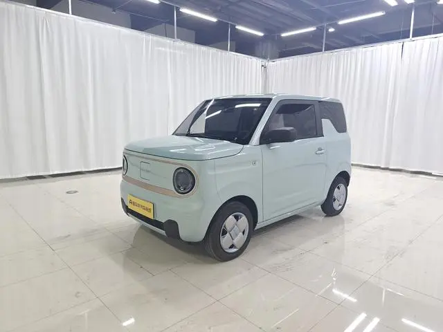 Geely Galaxy panda 200km panda mini endurance bear