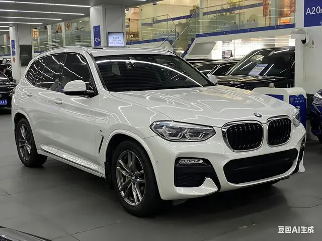 BMW BMW X3 xDrive28i M sports suit country V