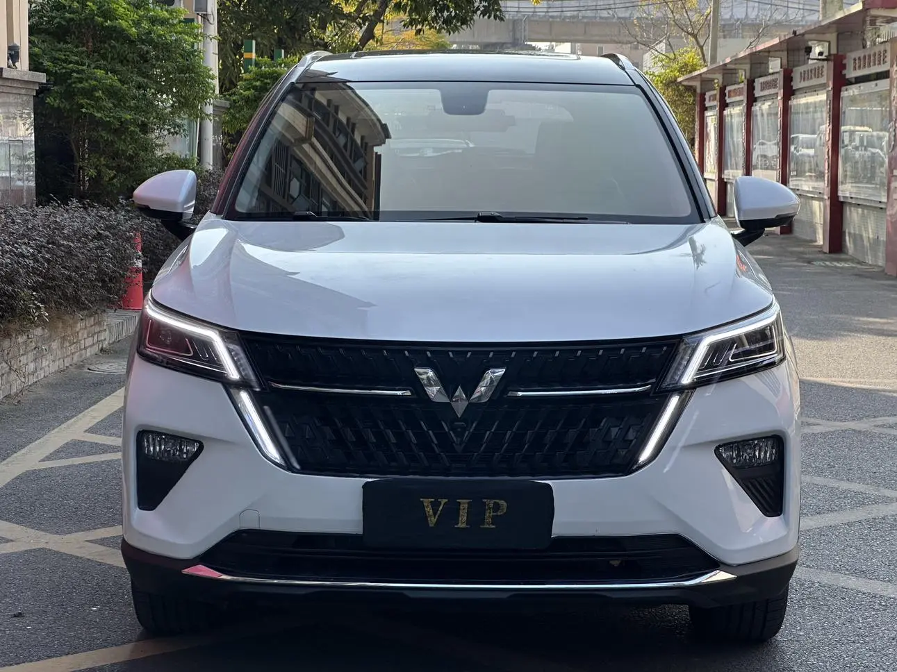 Wuling Wuling Xingchen 2.0L DHT electric speed model