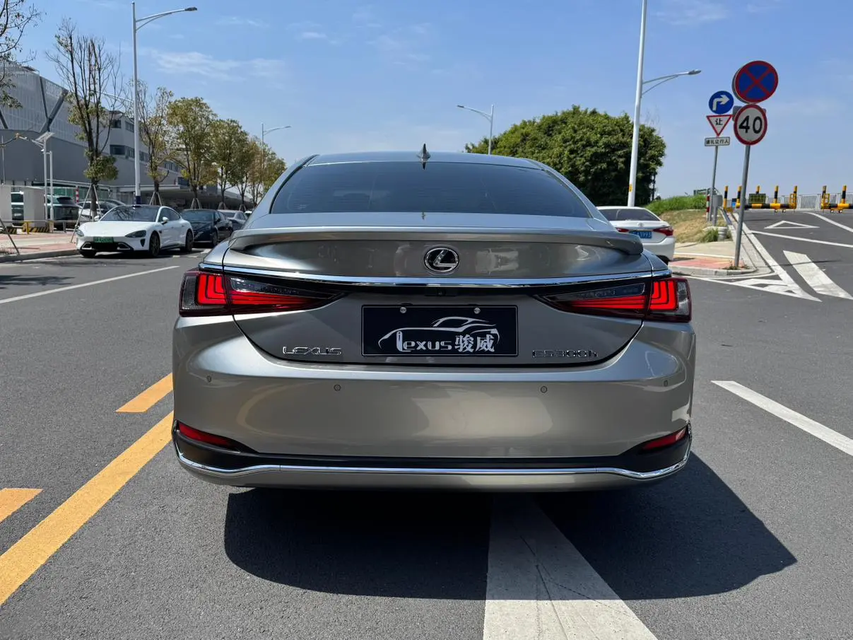Lexus Lexus ES 300h Excellent Edition