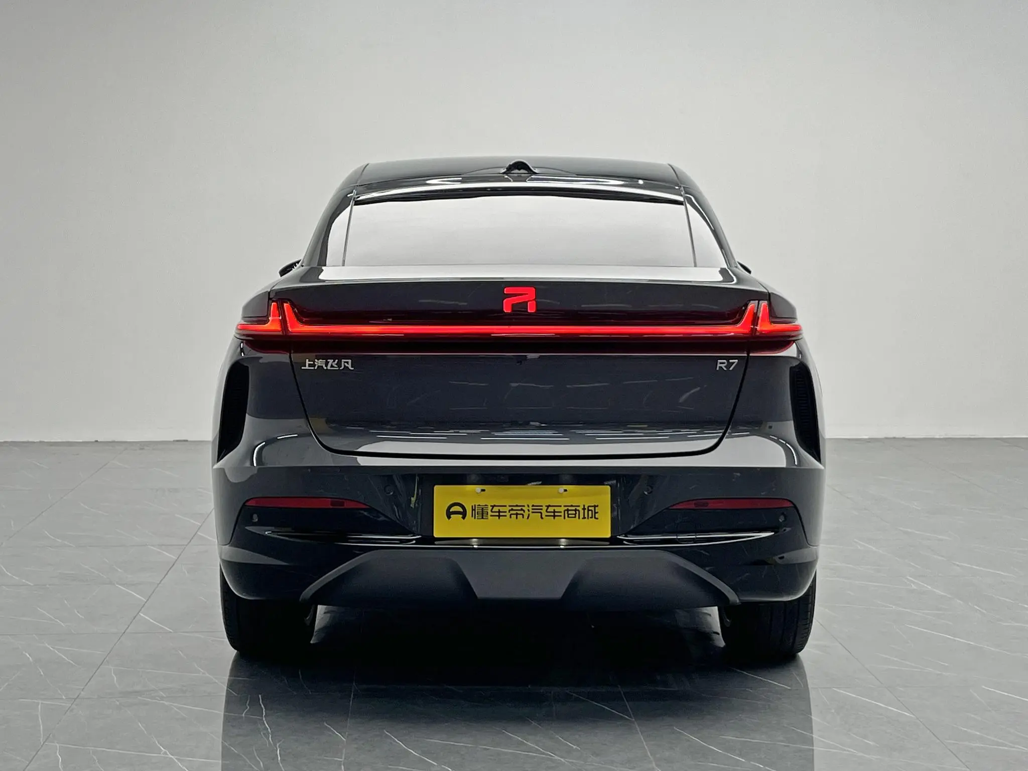 Feifan Feifan R7 Advanced version