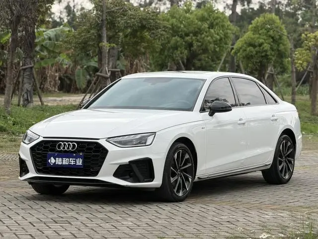 Audi Audi A4L 40 TFSI luxury Dynamic Type