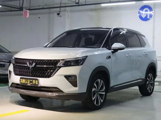 Wuling Wuling Xingchen 2.0L DHT electric speed model