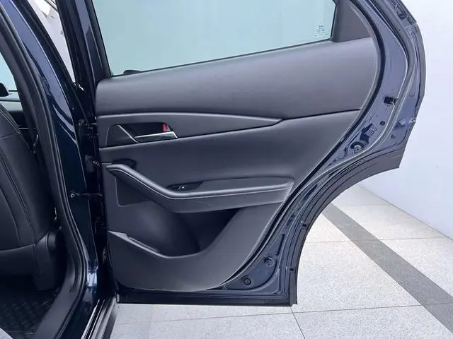 Mazda Mazda CX-30 2.0L automatic Jiayue Version