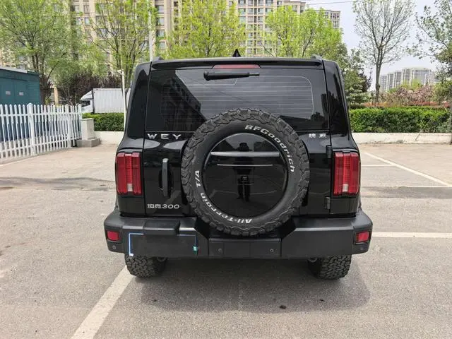 Tank Tank 300 Off-road version 2.0T Conqueror