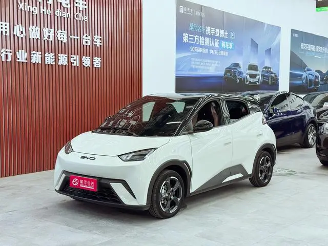 BYD Seagull Flying Version