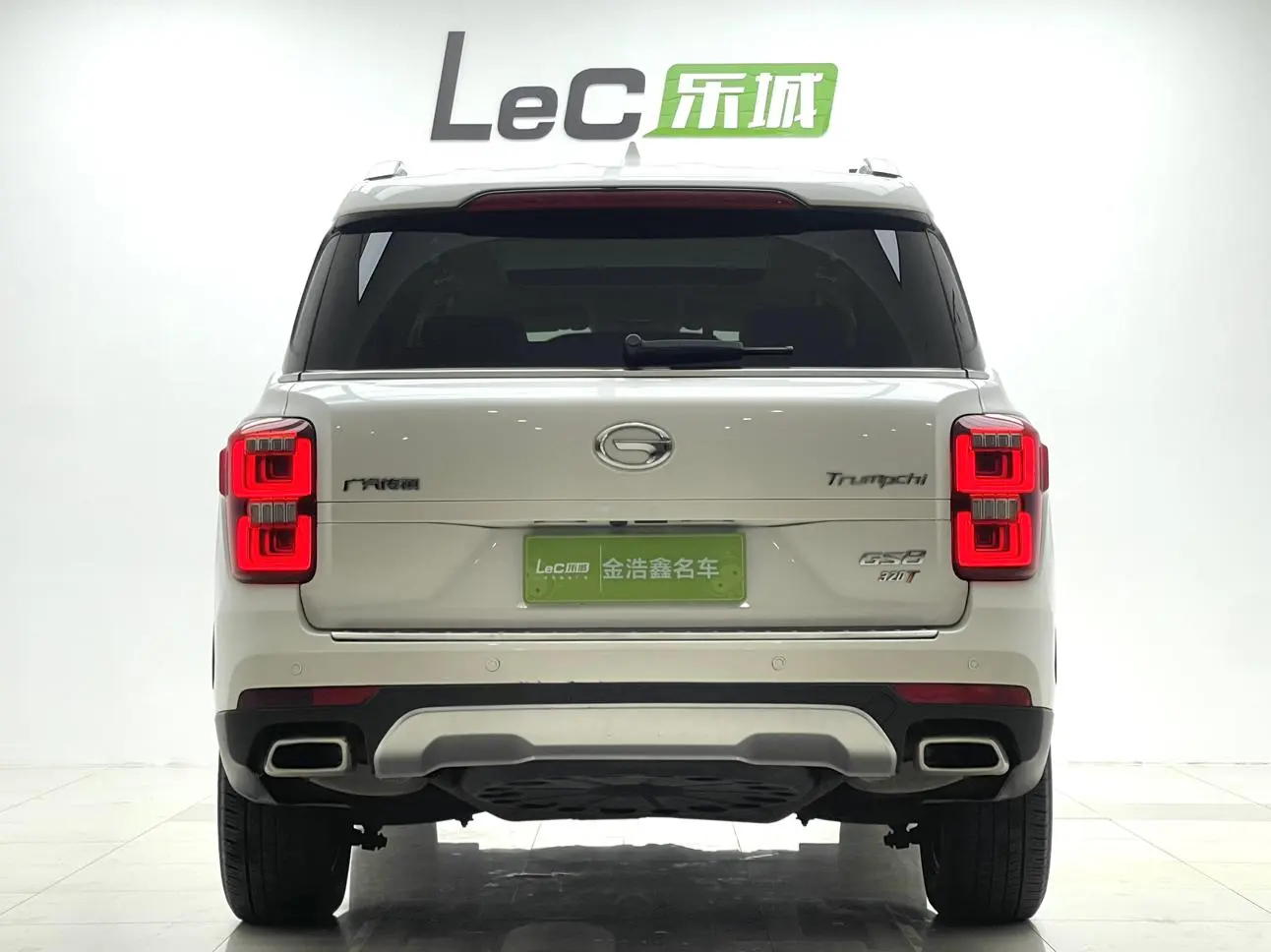 GAC Trumpchi GS8 320T two-wheel drive luxury Zhilian Edition 7 seats