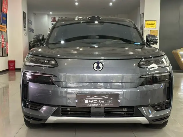 Denza Denza N9 DM Flagship type