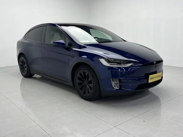 Tesla Model X 100D long battery life version