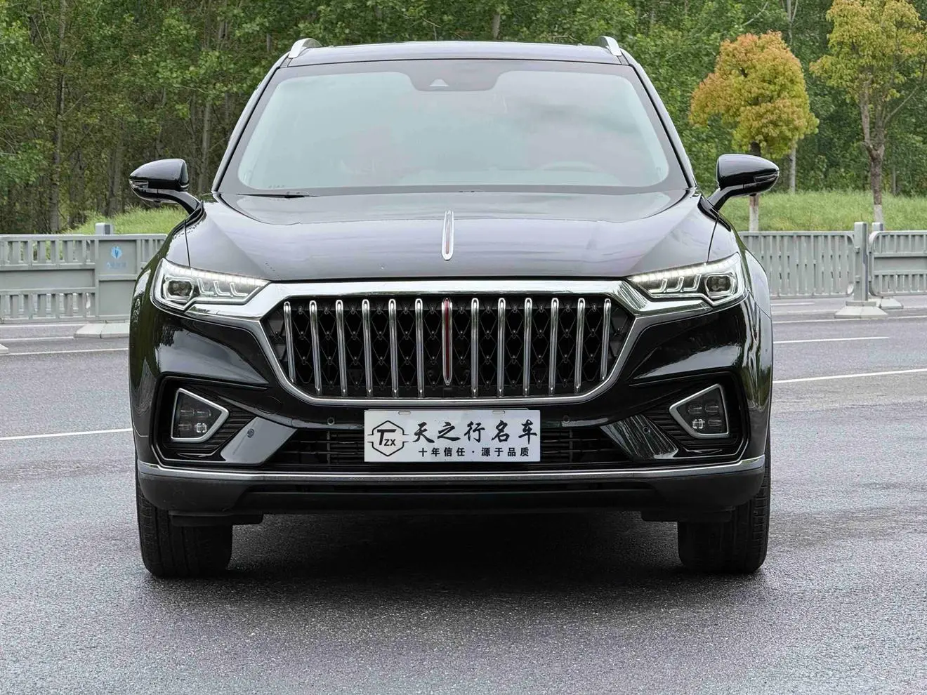 Hongqi Hongqi HS5 Facelift 2.0T Zhilian Flag Enjoy Edition
