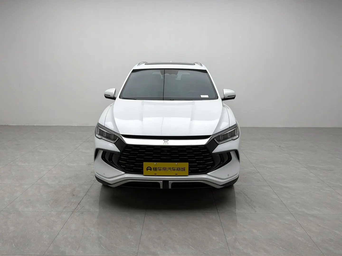 BYD Song Pro DM DM-i Champion Edition 110km Excellent Type