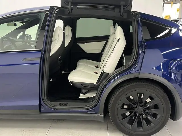 Tesla Model X 100D long battery life version