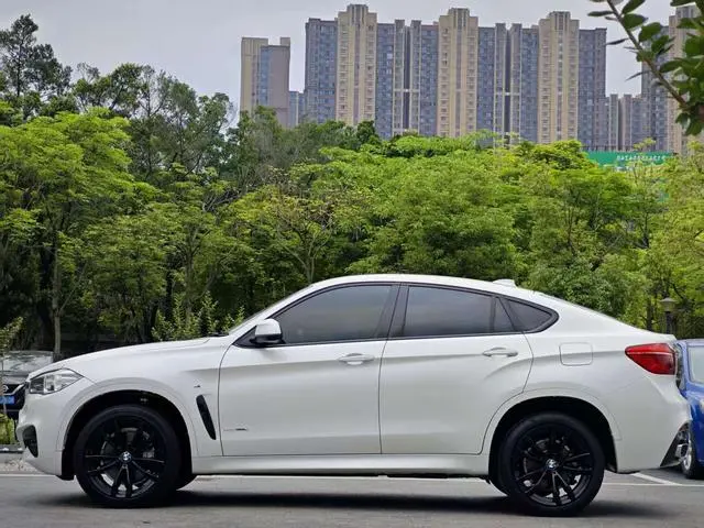 BMW BMW X6 xDrive35i M sports suit