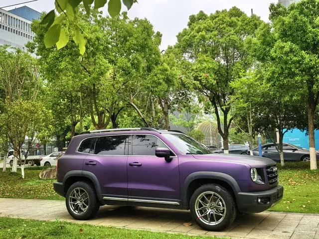 Haval Haval Big Dog 2.0T two-wheel drive Chinese Hound Version