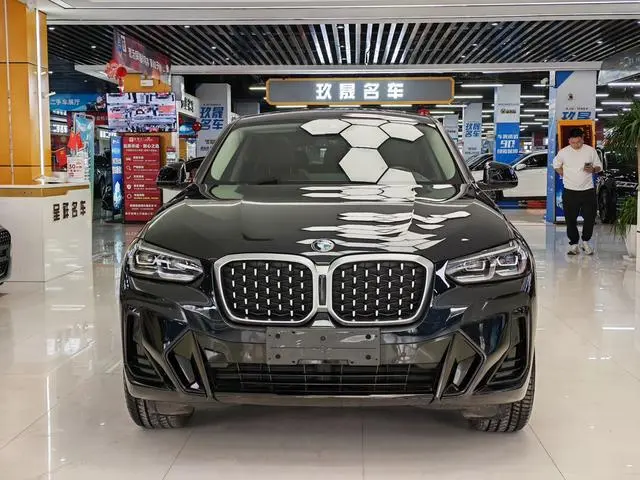 BMW BMW X4 xDrive 25i M sports suit
