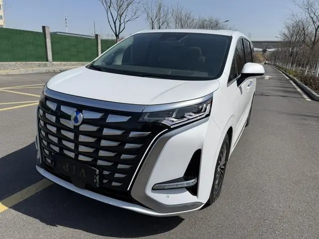 Denza Denza D9 DM 970 four-wheel drive flagship