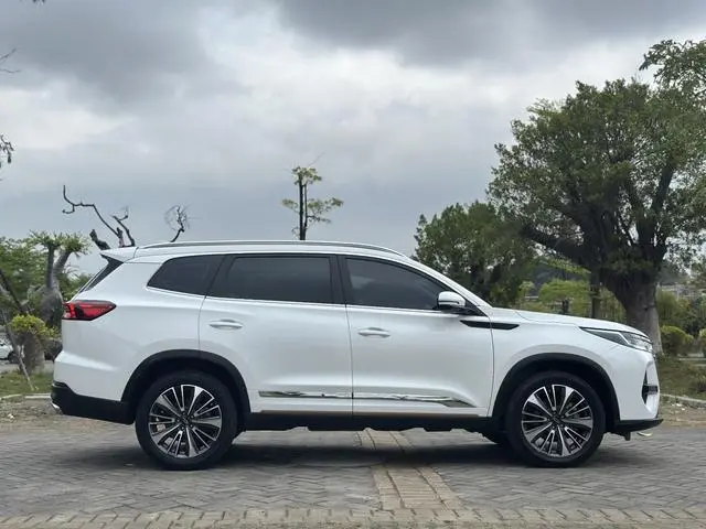 Chery Fulwin Tiggo 8 PRO Champion Edition 390T two-wheel drive Peak Edition 5 seats