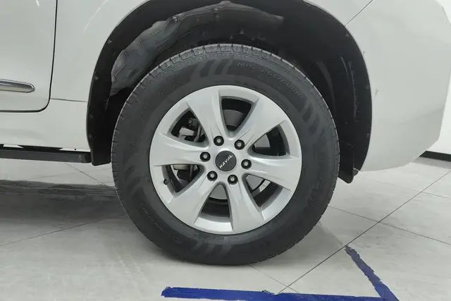 Haval Haval H9 2.0T gasoline four-wheel drive exclusive 5-seater