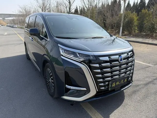 Denza Denza D9 DM 980 four-wheel drive flagship