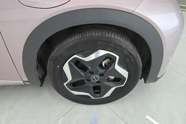 BYD dolphin Fashion edition