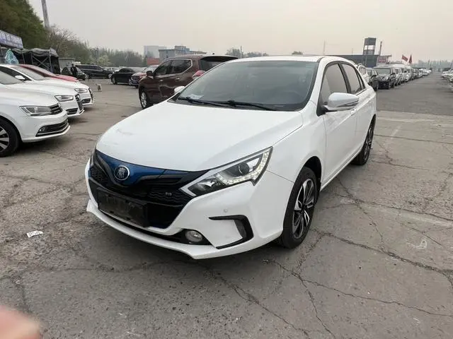BYD Qin Yu Qin EV300 Honor Type